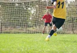 年世界杯法,国队夺冠阵,容前瞻,广州赛马会,广州赛马,赛马活动,马术赛事