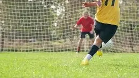 “2025年世界杯法国队夺冠阵容前瞻”