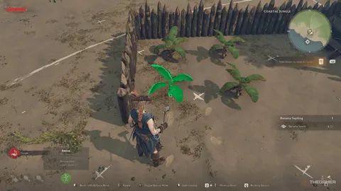 韩篮甲专栏：专家详解拿手联赛，总分胜负分析