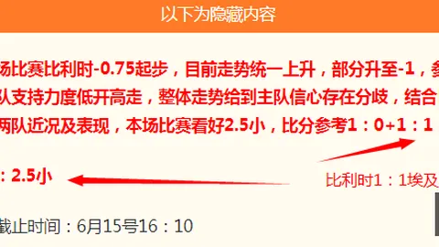 伊朗新西兰世界杯盛宴广州赛马会：3场精彩对决回顾，独家解析终极指南